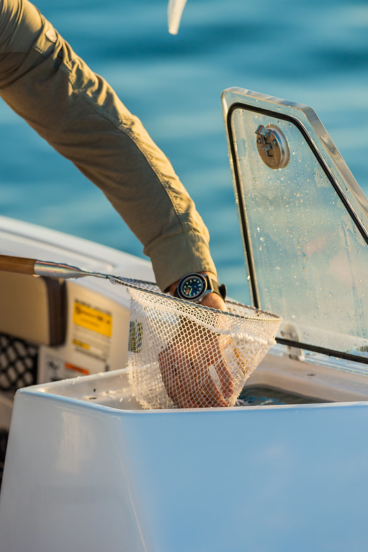 A man getting bait using his hand and net from a bait tank.