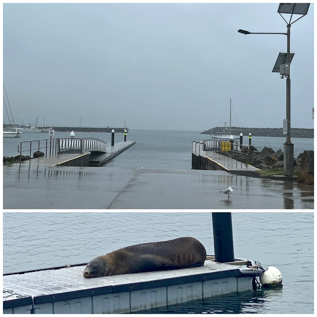 Apollo Bay Boat Ramp