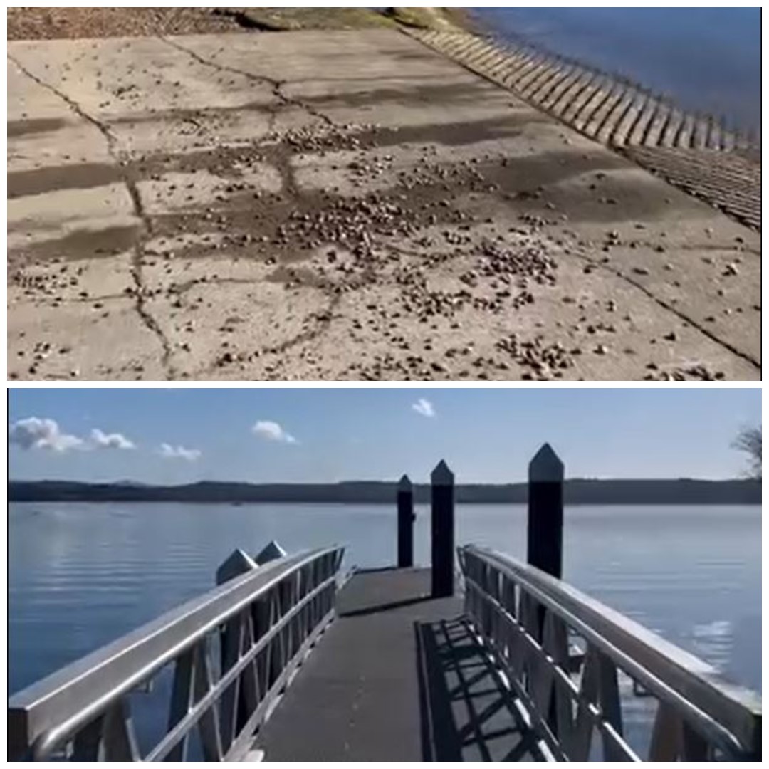 Balcolyn Boat Ramp (Near Hall Reserve)