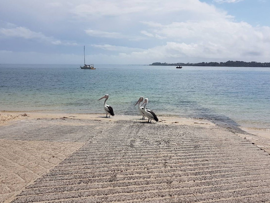 bongaree boat ramp