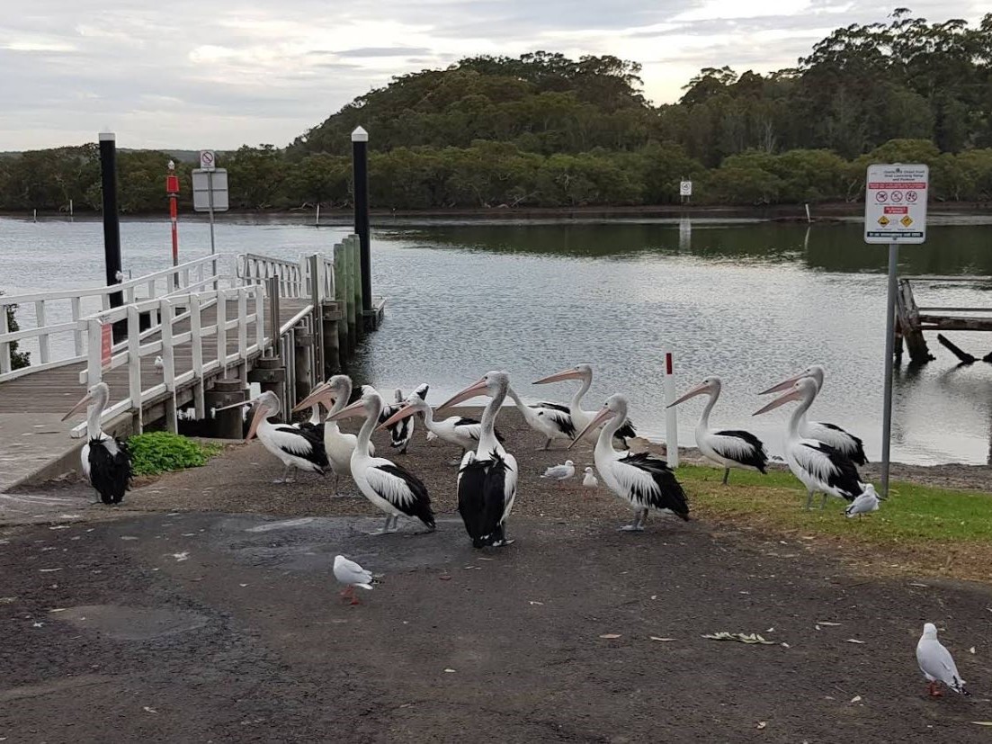 Orient Point Boat Ramp