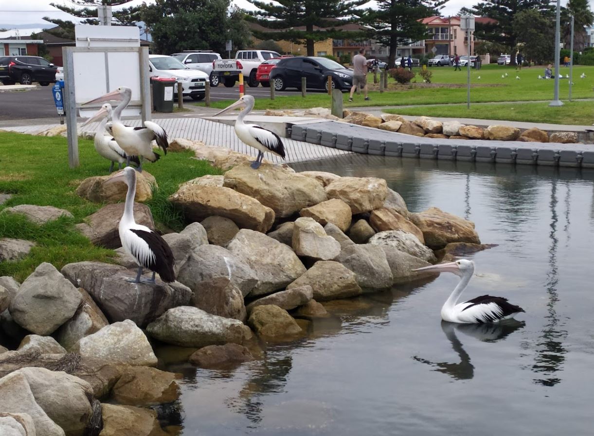 Reddall Reserve Boat Ramp, Reddall Parade