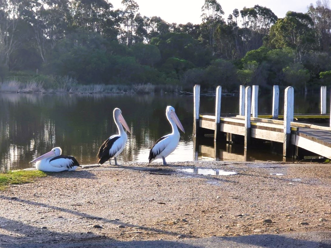 rivermouth boat ramp