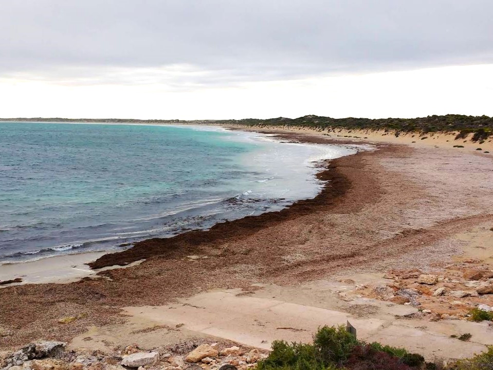 sceale bay boat ramp