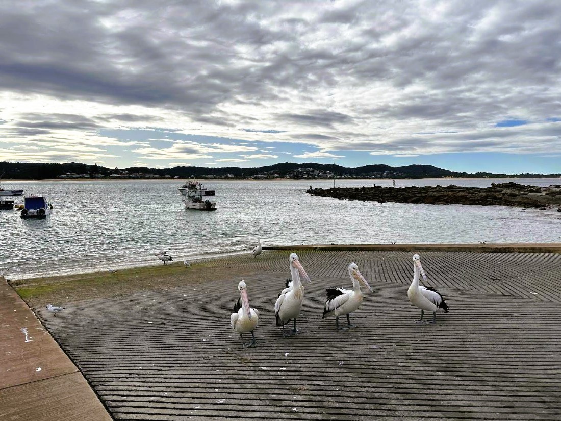 Terrigal Haven Boat Ramp