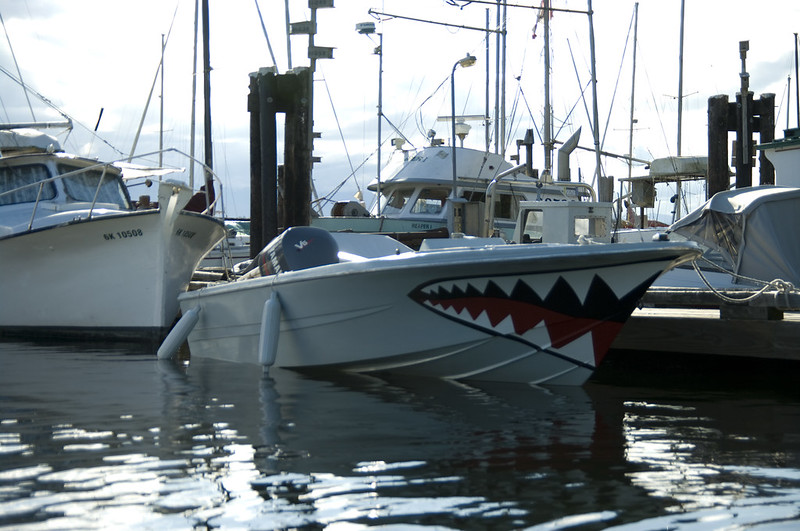 A boat with a shark mouth design on its hull