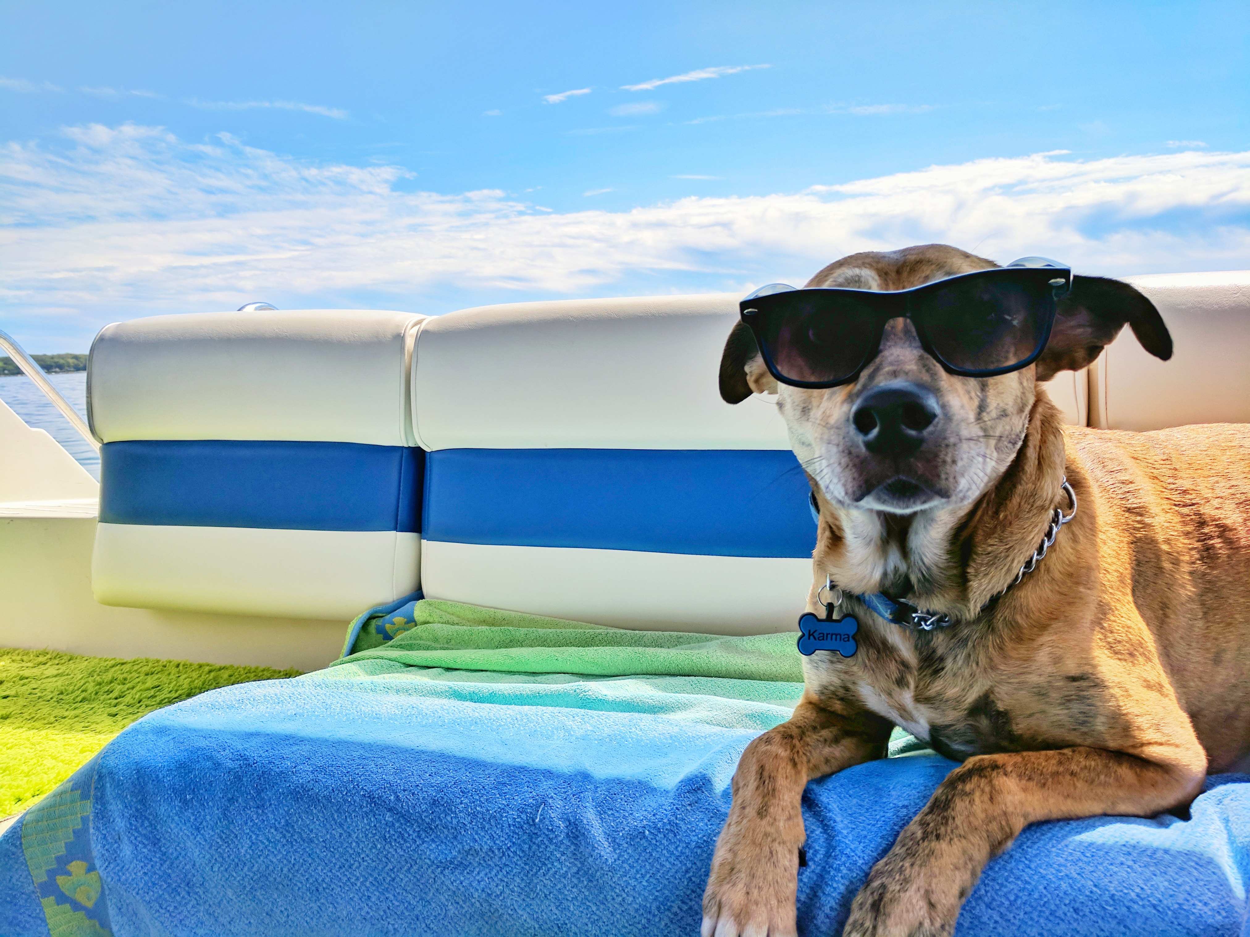 A dog with sunglasses sitting on a boat covered with towel to prevent the upholstery from getting dirty.