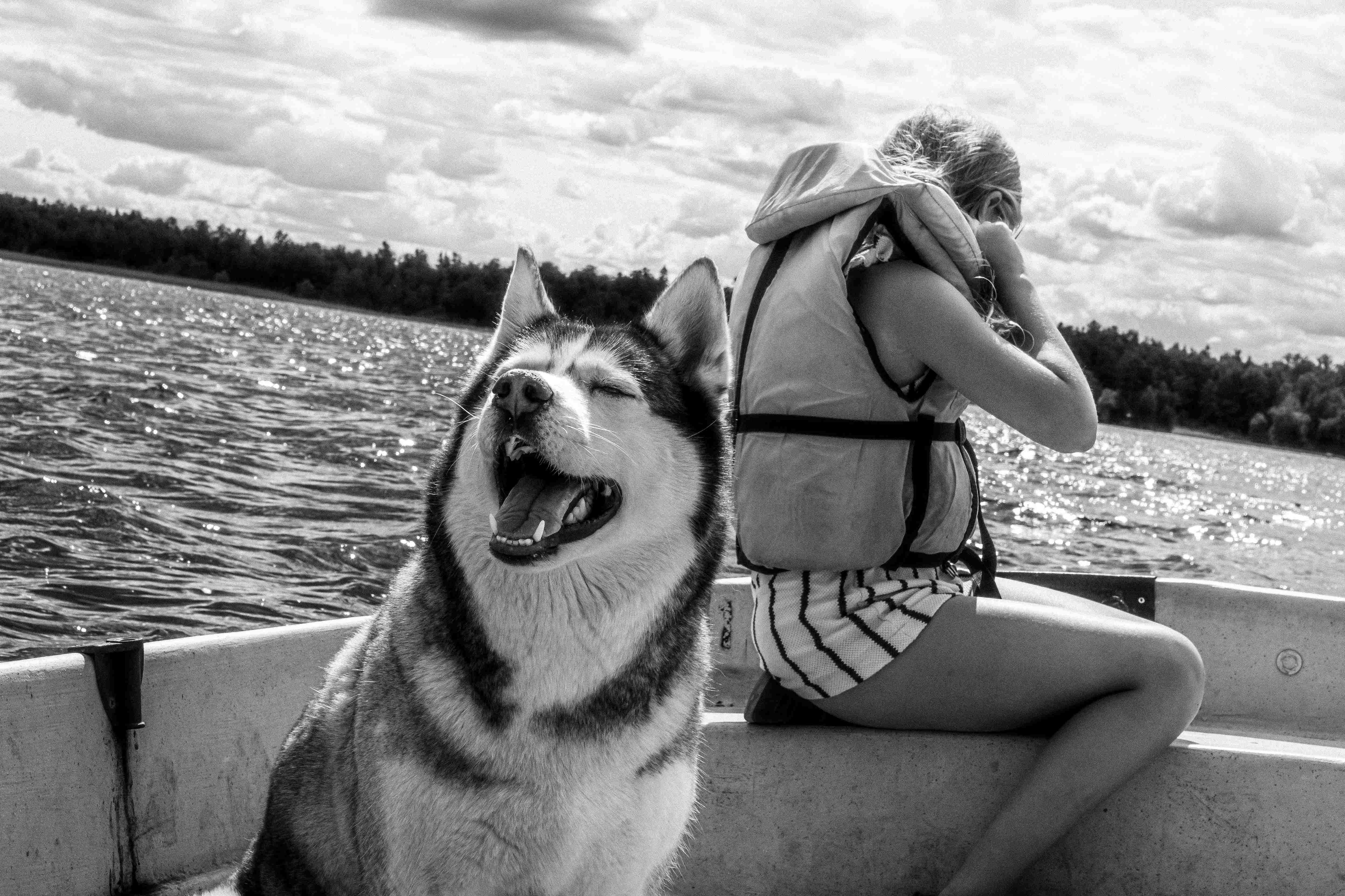 A husky and a young girl wearing a life jacket on a boat.