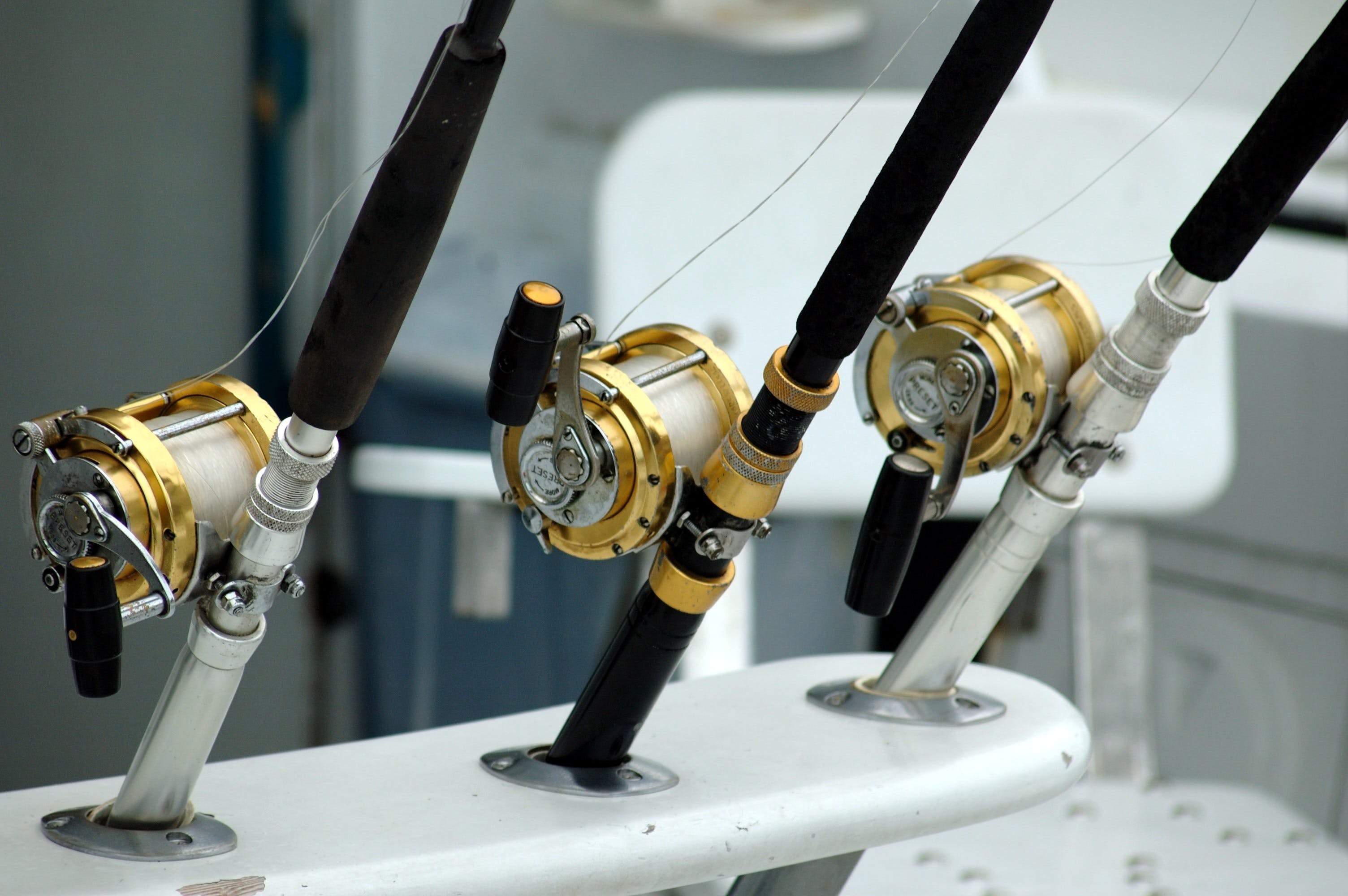 A row of fishing rods