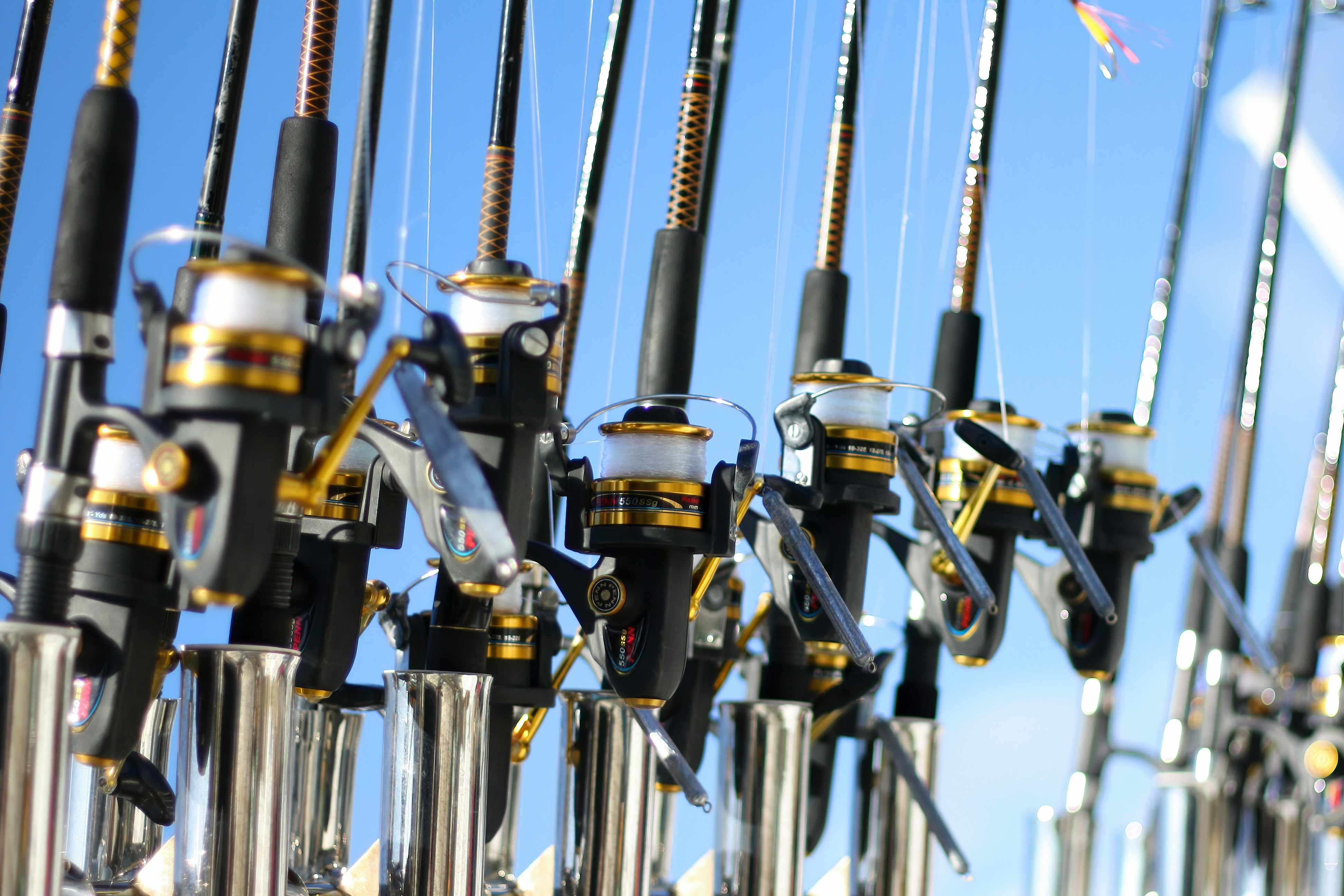 A row of fishing rods hold in place by rod holders.