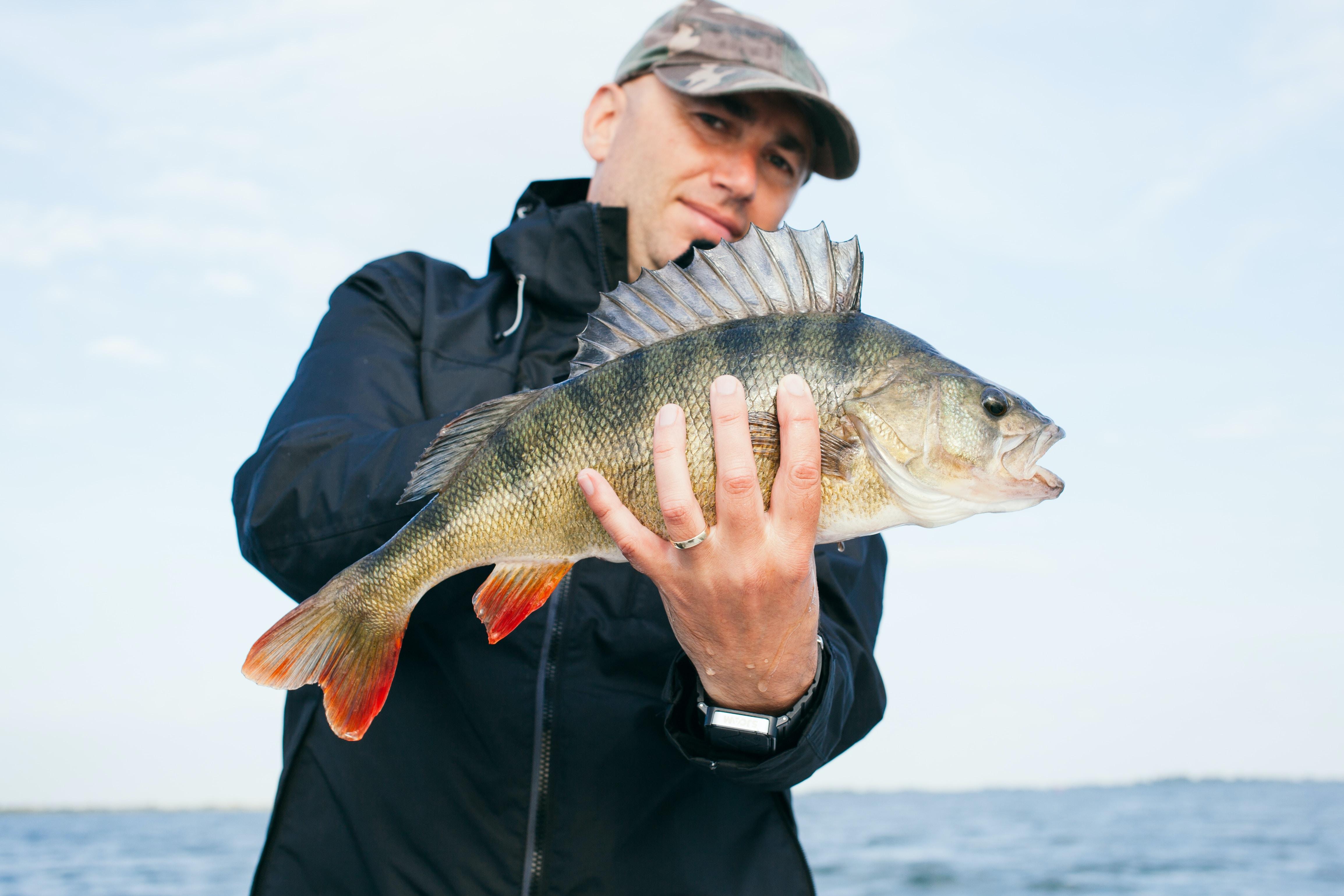 A cap wearing man holding a fish he caught.