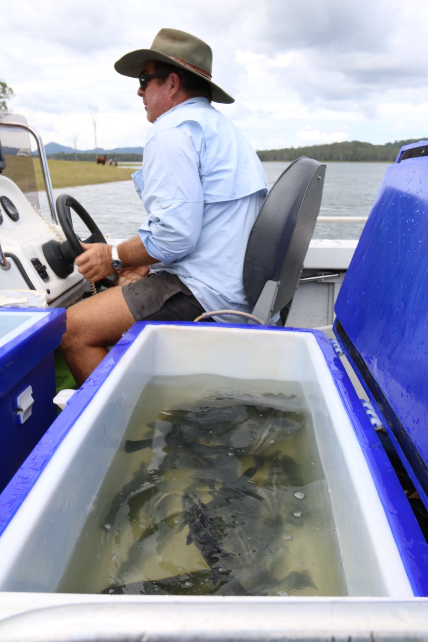 A man wearing a hat driving the boat and sitting beside an open live bait tank.