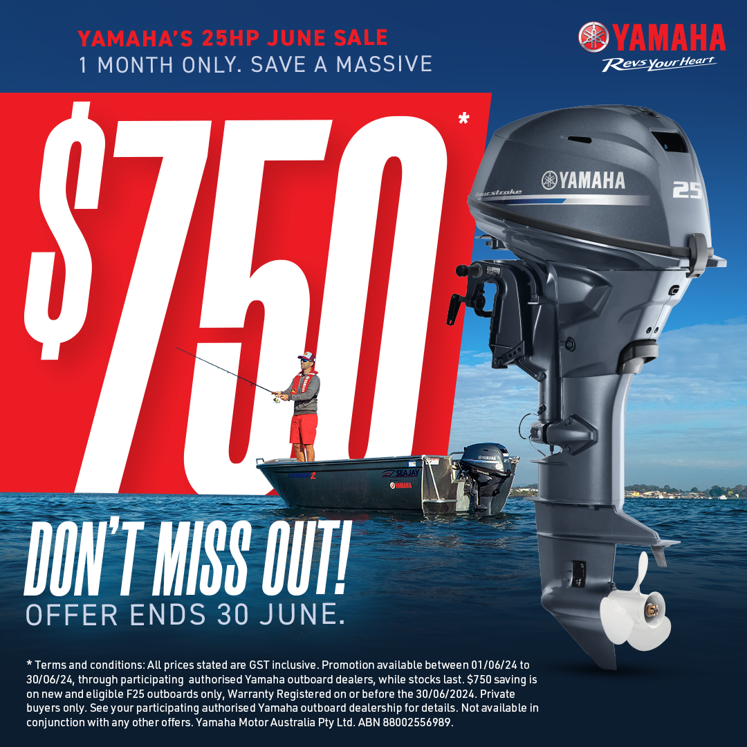 Poster of the Yamaha Promo Campaign
