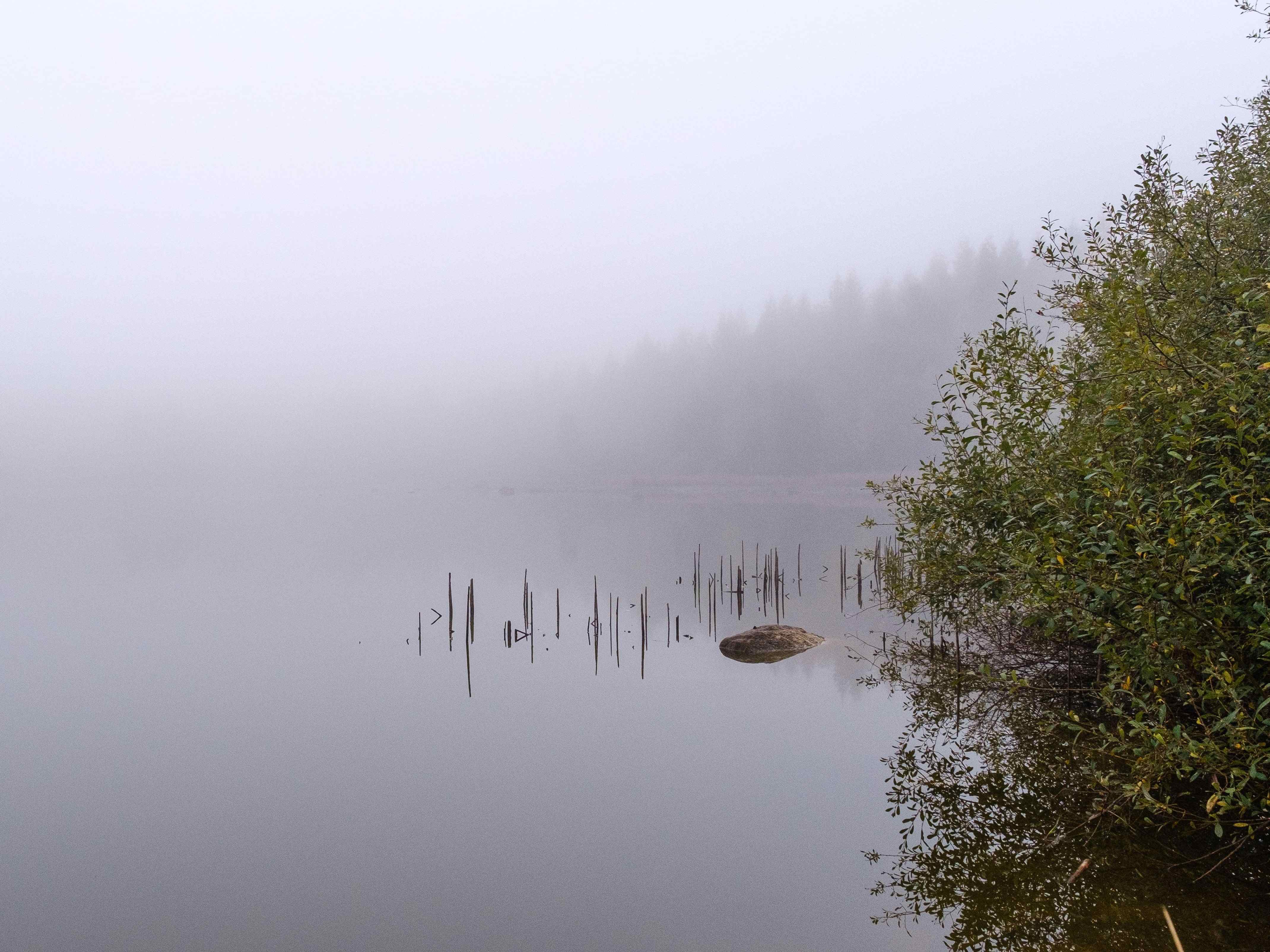 foggy weather on the water