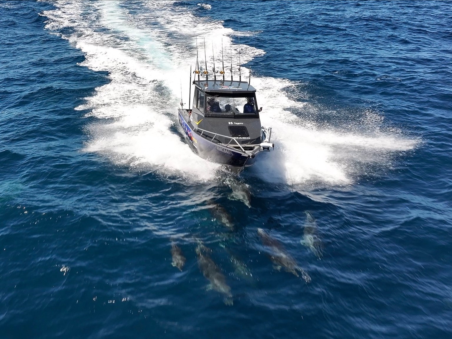 yellowfin boat underway on water