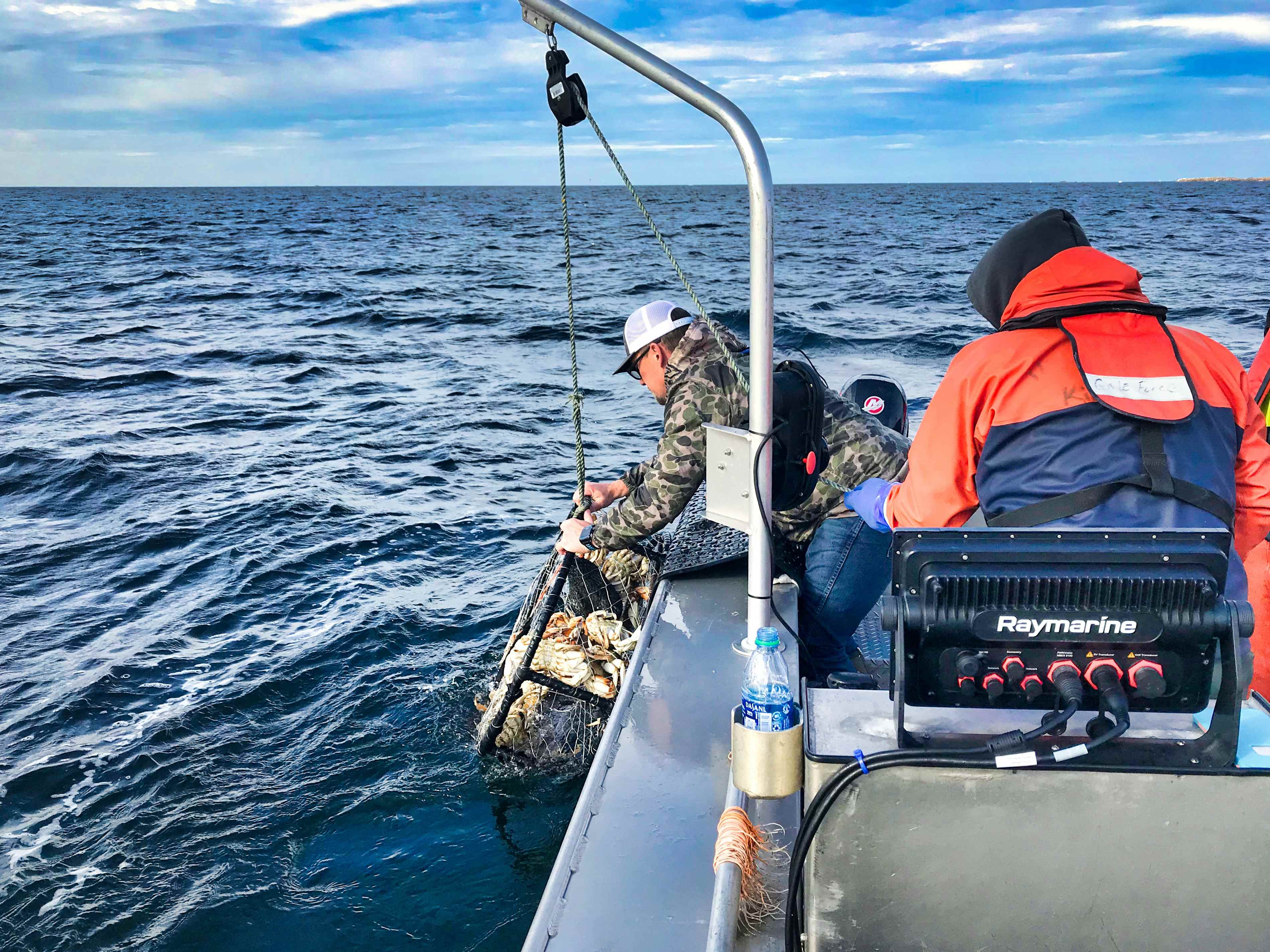 Two men onboard a boat catching crabs through a net in the ocean.